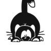 Sticker autocollant chat filou