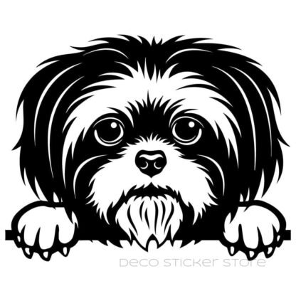 Sticker autocollant chien shih tzu Deco Sticker Store