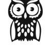 Sticker autocollant chouette hibou