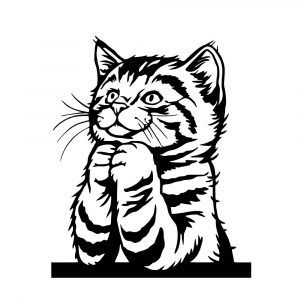 Sticker autocollant chat prie