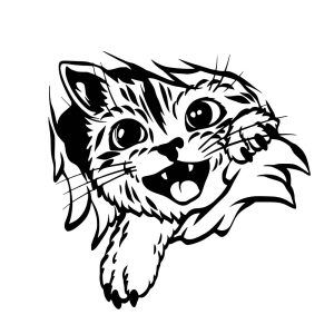 Sticker autocollant chat dans le mur