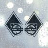 Lot de 2 Stickers autocollants camion losanges  Volvo