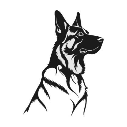 Sticker Autocollant chien malinois berger allemand animaux  ANICM38