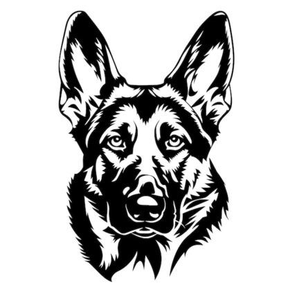 Sticker Autocollant chien malinois berger allemand animaux  ANICM32