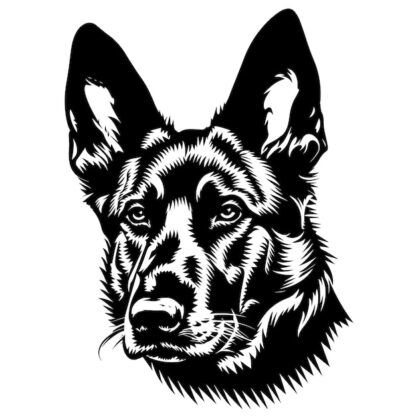 Sticker Autocollant chien malinois berger allemand animaux  ANICM31