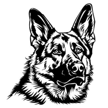 Sticker Autocollant chien malinois berger allemand animaux  ANICM30