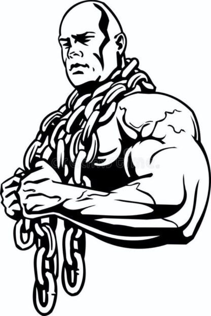 sticker autocollant musculation bodybuilder sport 1 RFDGB