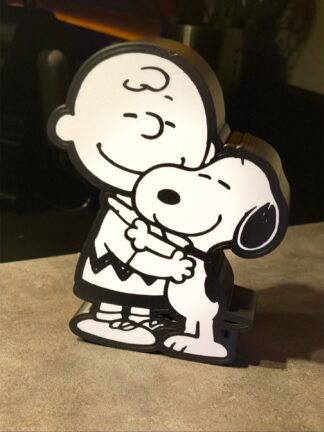 Lampe 3D boîte à lumière Snoopy et Charly R6IMX