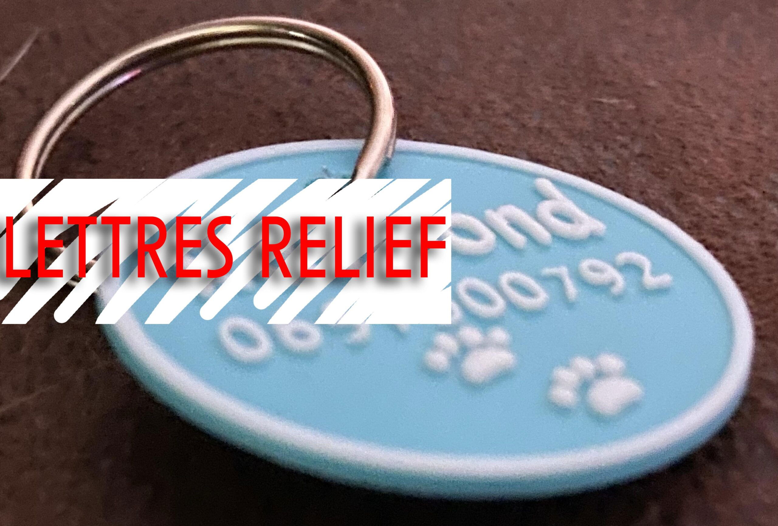 3D médaillon pour chien ou chat personnalisable - Image 2